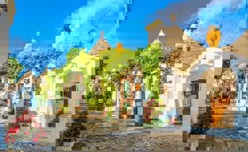 shahnawaz-image